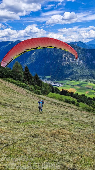 fk28.22-kaernten-flugsafari-papillon-132
