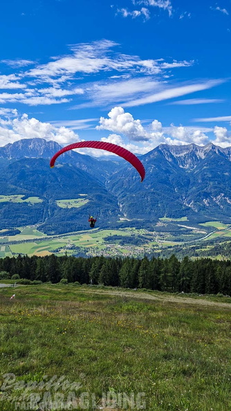 fk28.22-kaernten-flugsafari-papillon-144