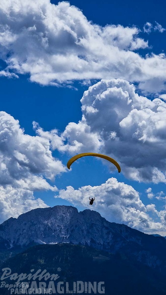 fk28.22-kaernten-flugsafari-papillon-152