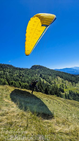 fk28.22-kaernten-flugsafari-papillon-171