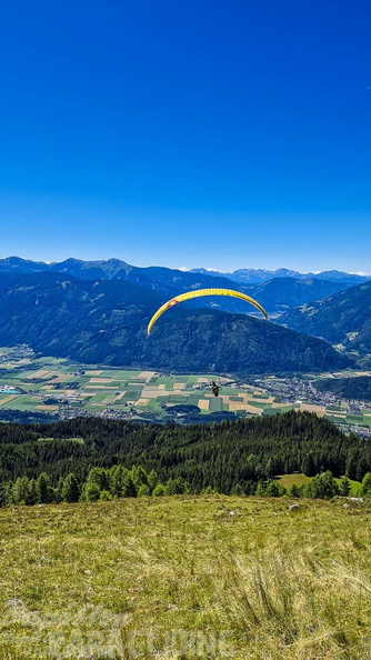 fk28.22-kaernten-flugsafari-papillon-169