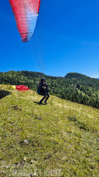 fk28.22-kaernten-flugsafari-papillon-179