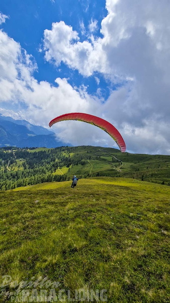 fk28.22-kaernten-flugsafari-papillon-208
