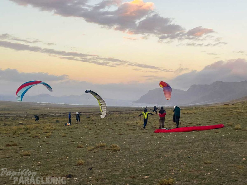 FLA50.22 papillon-paragliding-152