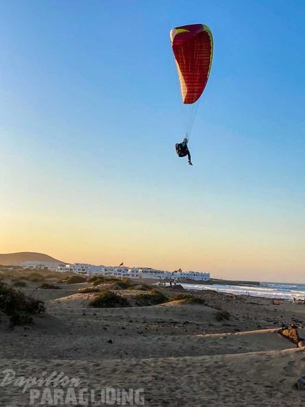 FLA50.22 papillon-paragliding-137