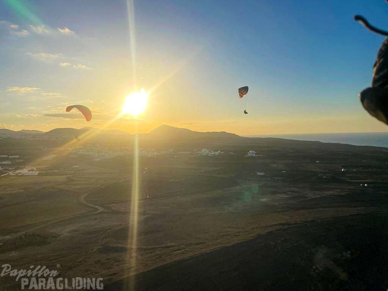 FLA2.23-Papillon-Paragliding-157