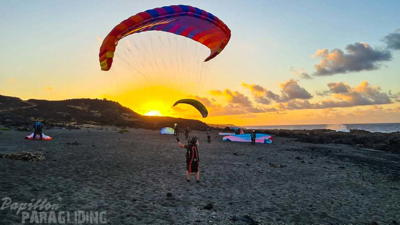 FLA2.23-Papillon-Paragliding-111