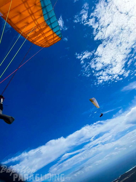 FLA2.23-Papillon-Paragliding-136