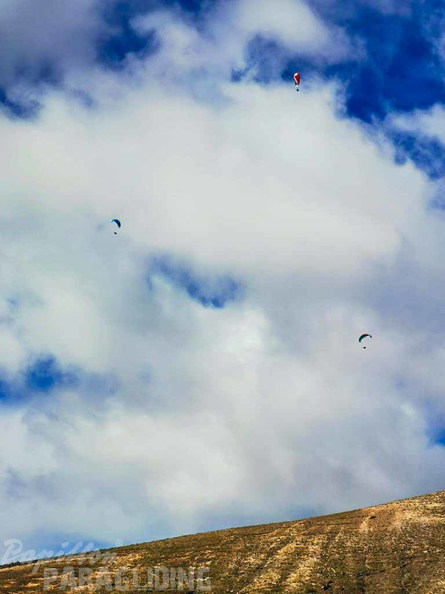 fla8.23-lanzarote-paragliding-portrait-109