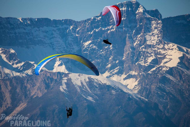 fgp8.23-griechenland-pindos-paragliding-papillon-267