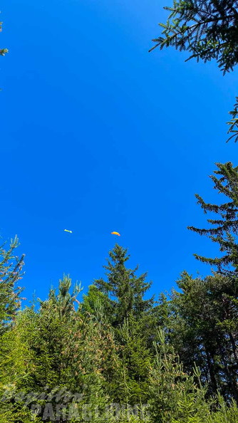 dh27.23-papillon-paragliding-luesen-141