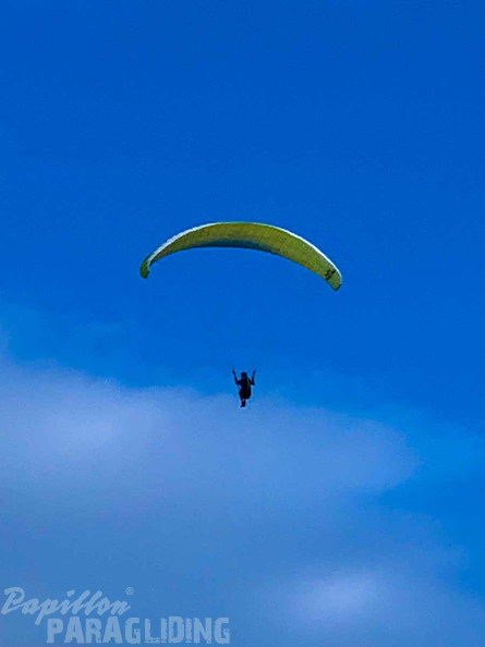 dh27.23-papillon-paragliding-luesen-148