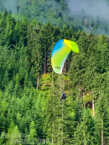 dh27.23-papillon-paragliding-luesen-151