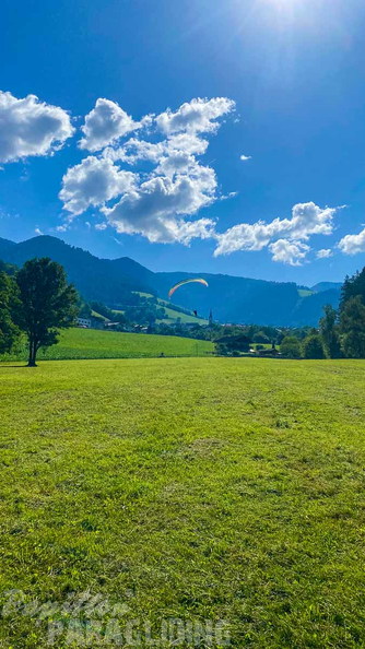 dh28.23-papillon-paragliding-luesen-101