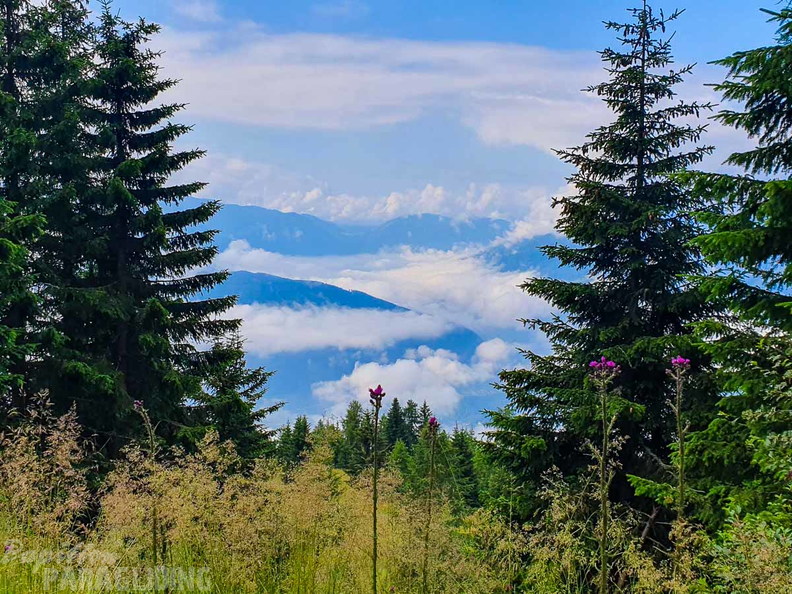 FK29.23-kaernten-paragliding-291