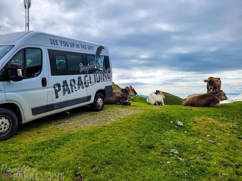 FK29.23-kaernten-paragliding-395