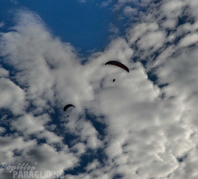 dh32.23-luesen-paragliding-254