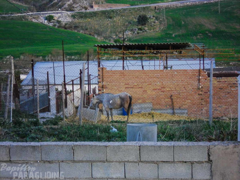 FA3.12-Algodonales-341