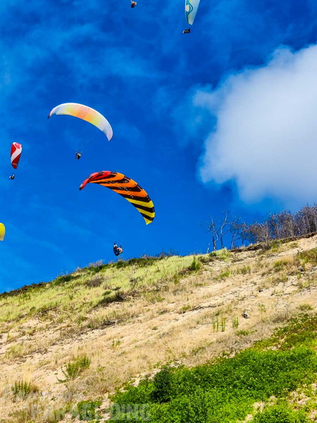 dune-du-pyla-23-paragliding-152
