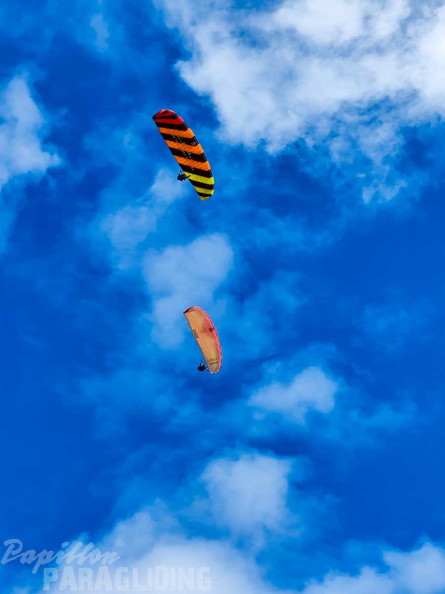 dune-du-pyla-23-paragliding-161