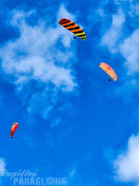 dune-du-pyla-23-paragliding-160