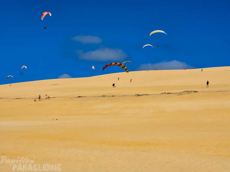 dune-du-pyla-23-oliver-147