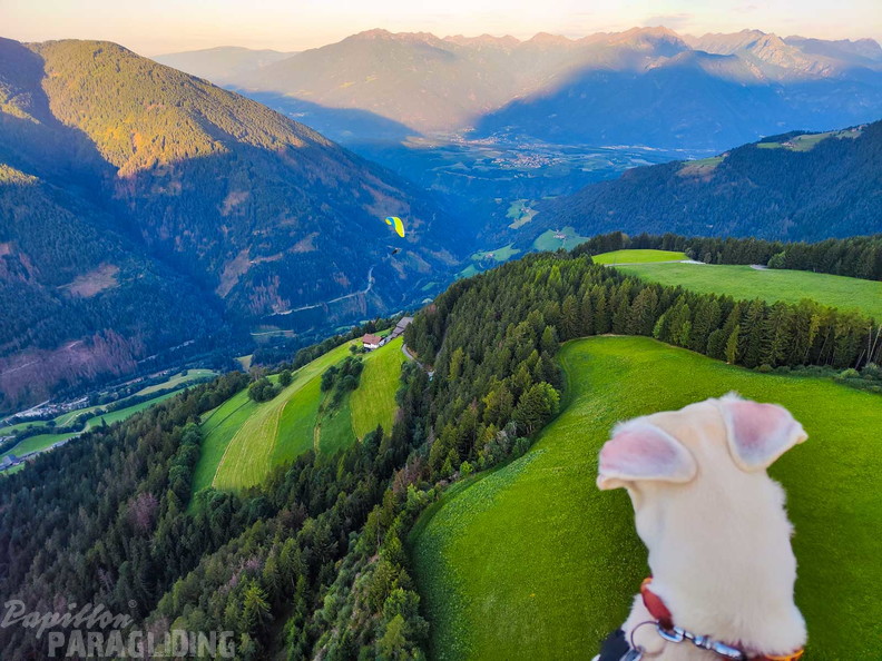 dh34.23-luesen-ro-119