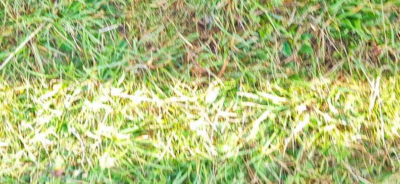 rk40.23-gleitschirm-kombikurs-rhoen u-185