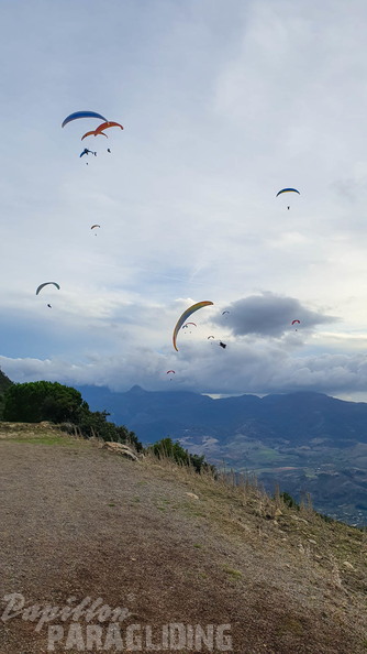 fa44.45.23-algodonales-paragliding-papillon-120