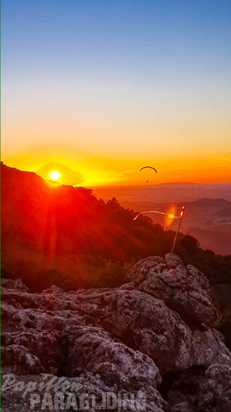 fa44.45.23-algodonales-paragliding-papillon-414