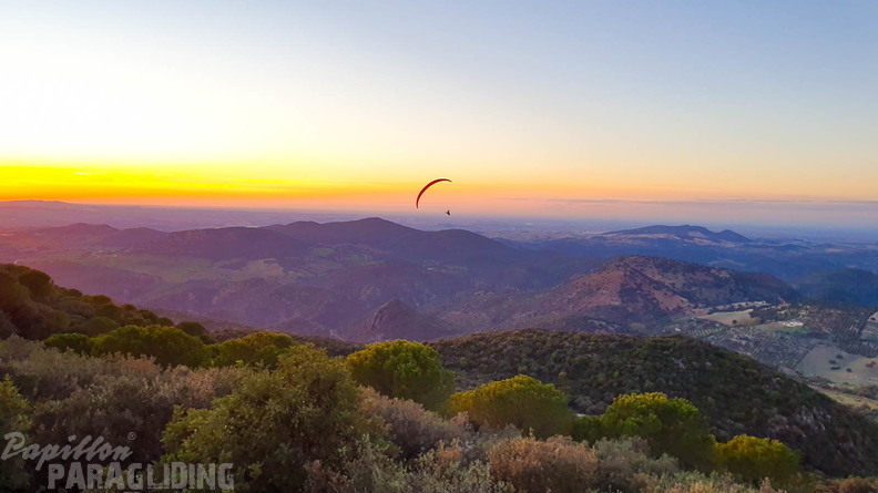 fa44.45.23-algodonales-paragliding-papillon-421