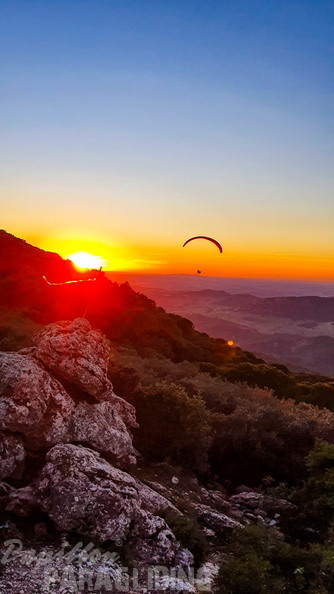 fa44.45.23-algodonales-paragliding-papillon-420