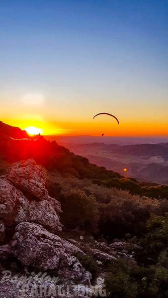 fa44.45.23-algodonales-paragliding-papillon-419