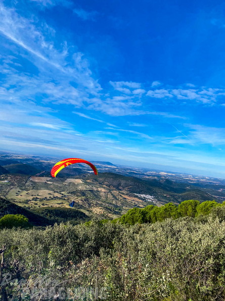 fa44.45.23-algodonales-paragliding-papillon-435