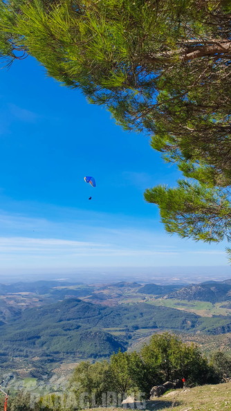 fa44.45.23-algodonales-paragliding-papillon-509