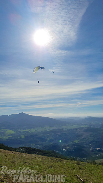 fa44.45.23-algodonales-paragliding-papillon-513