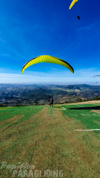 fa44.45.23-algodonales-paragliding-papillon-512