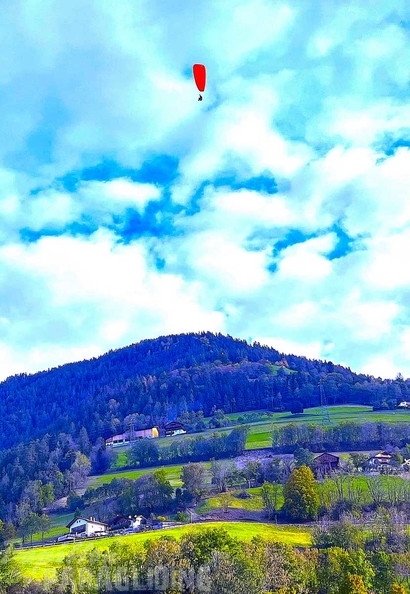 NIKI-BILD-7