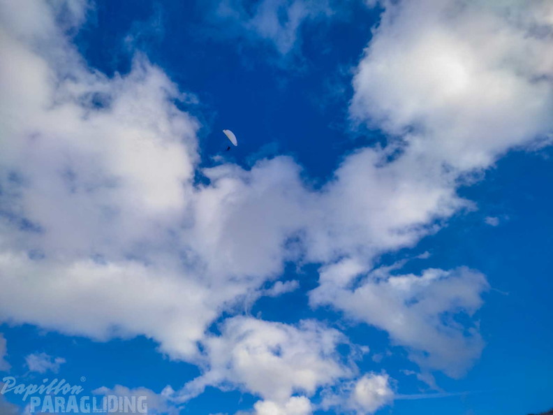 fosf8.24-ski-fly-chr-101