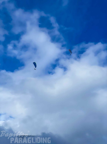 fosf8.24-ski-fly-ste-113