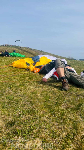 fruehlings-testival-wasserkuppe-24-193