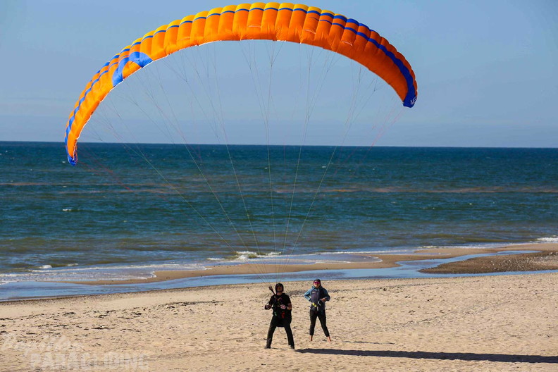 fds26.24-daenemark-safari-(c)-tom-nyfeler-507