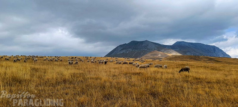 fcf37.23-castelluccio-paragliding-172