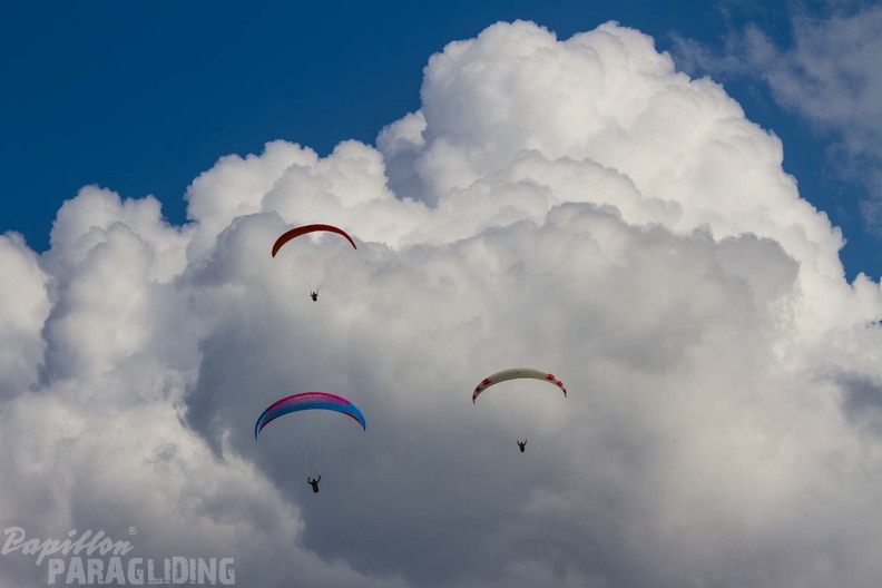MN 7565 German Open Wasserkuppe 24-09.08 hd