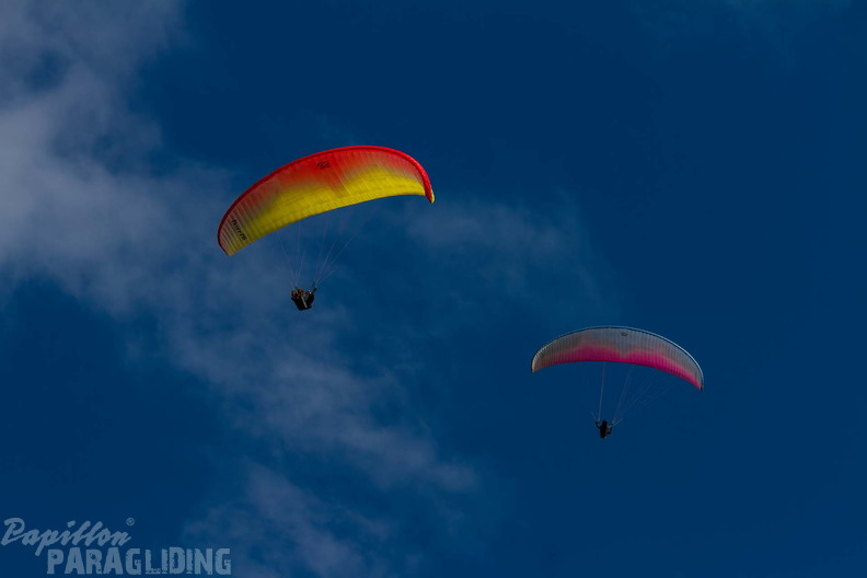 MN 7638 German Open Wasserkuppe 24-09.08 hd