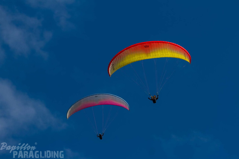MN 7637 German Open Wasserkuppe 24-09.08 hd