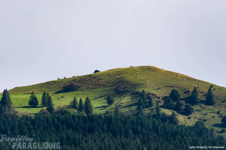 MN 07347-PGAWC-Finals Germany 24 Do HD-285