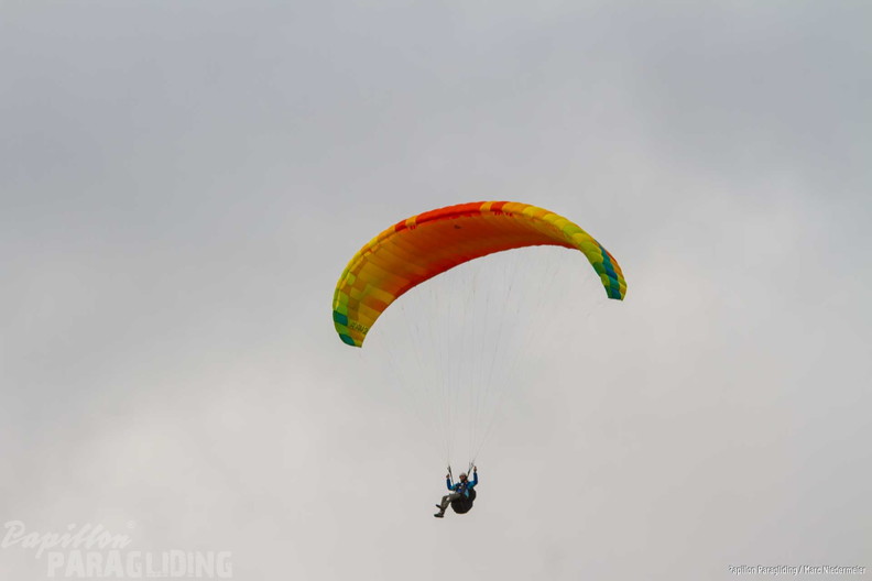 MN 8019-PGA-Friendship-Cup-Wasserkuppe-24-196