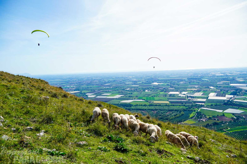 fno42.24-norma-italien-paragliding-154