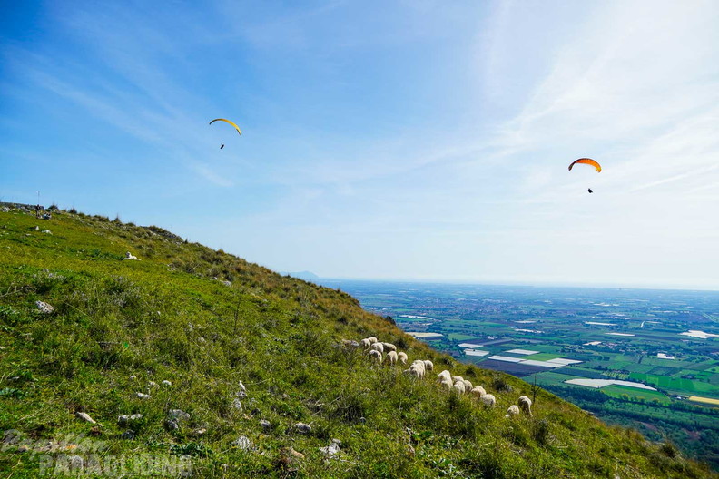 fno42.24-norma-italien-paragliding-153
